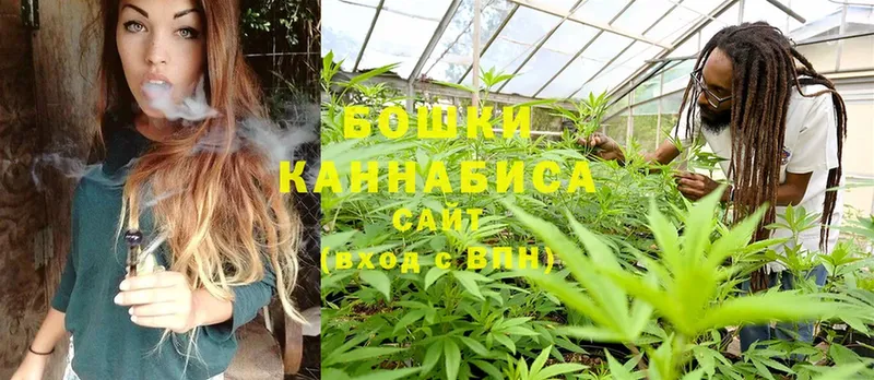 Бошки марихуана OG Kush  Бокситогорск 